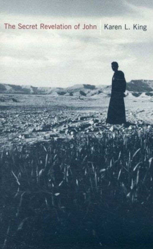 The Secret Revelation of John av Karen L. King