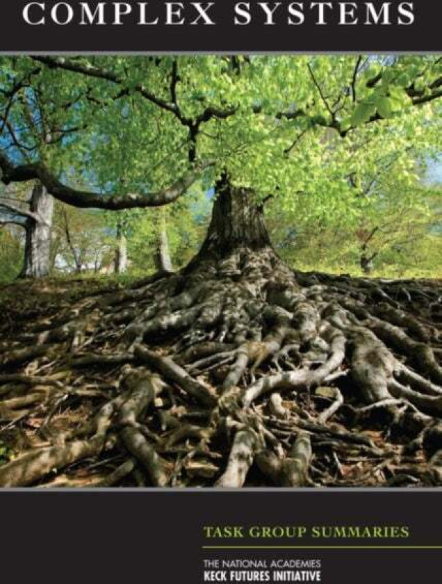 The National Academies Keck Futures Initiative: Complex Systems av The National Academies Keck Futures Initiatives, National Academies