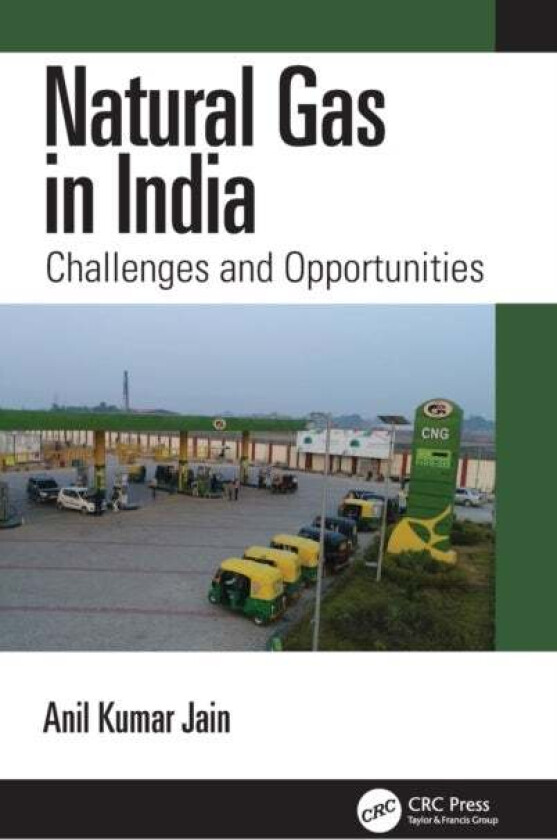Natural Gas in India av Anil Kumar (Secretary Ministry of Coal ND India) Jain
