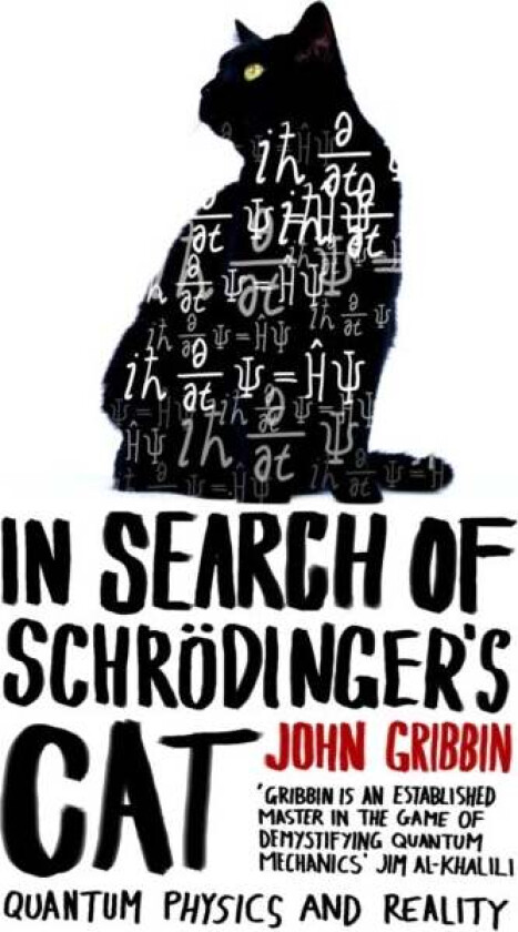 In Search Of Schrodinger's Cat av John Gribbin