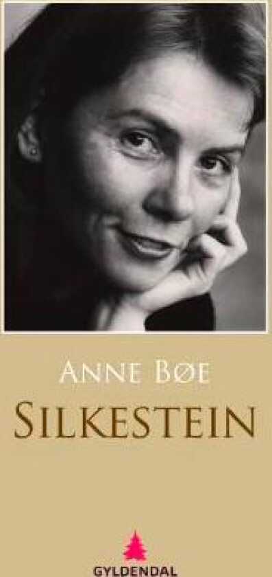 Silkestein av Anne Bøe