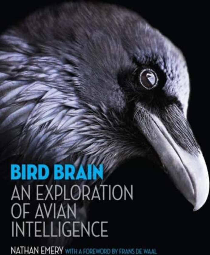 Bird Brain av Nathan Emery