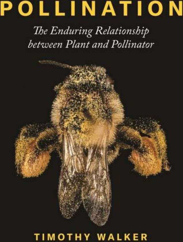 Pollination av Timothy Walker