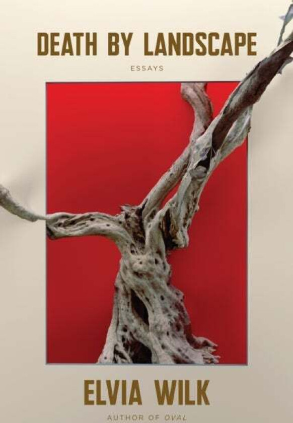 Death By Landscape av Elvia Wilk