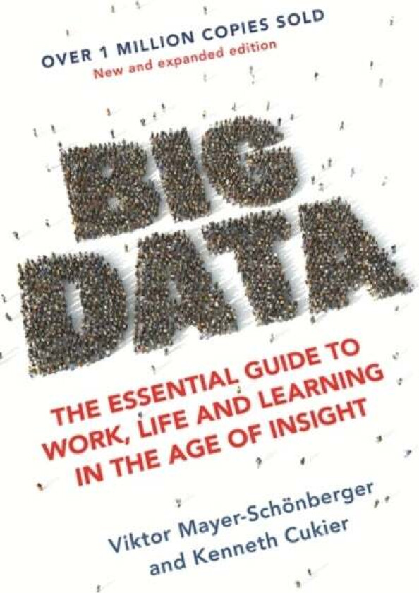 Big Data av Viktor Mayer-Schonberger, Kenneth Cukier