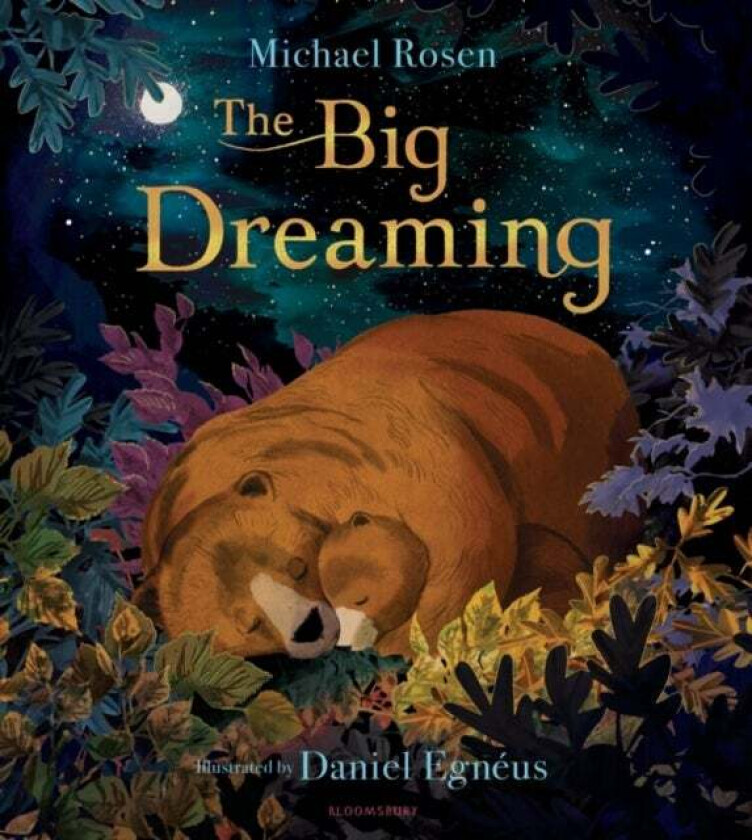 The Big Dreaming av Michael Rosen