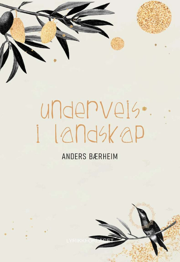 Underveis i landskap av Anders Bærheim