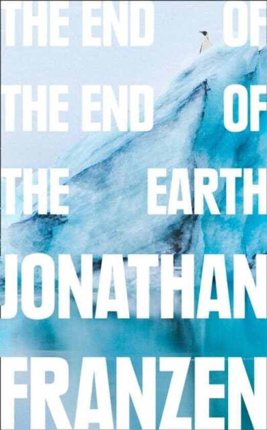 The End of the End of the Earth av Jonathan Franzen