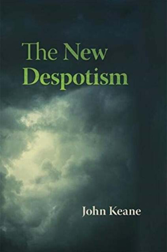 The New Despotism av John Keane
