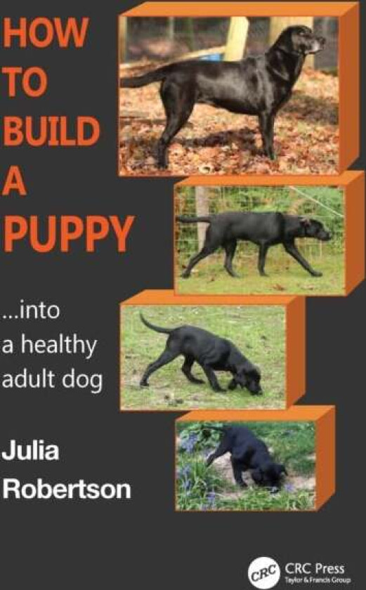 How to Build a Puppy av Julia (Galen Myotherapy UK) Robertson