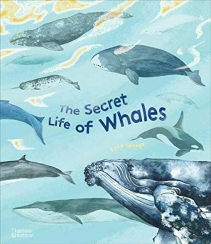 The Secret Life of Whales av Rena Ortega