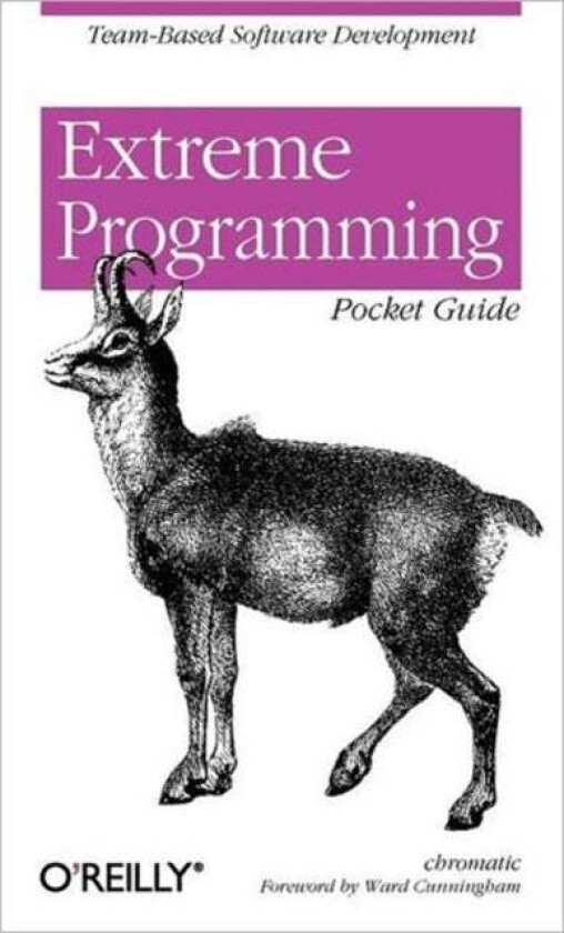 Extreme Programming Pocket Guide av Chromatic