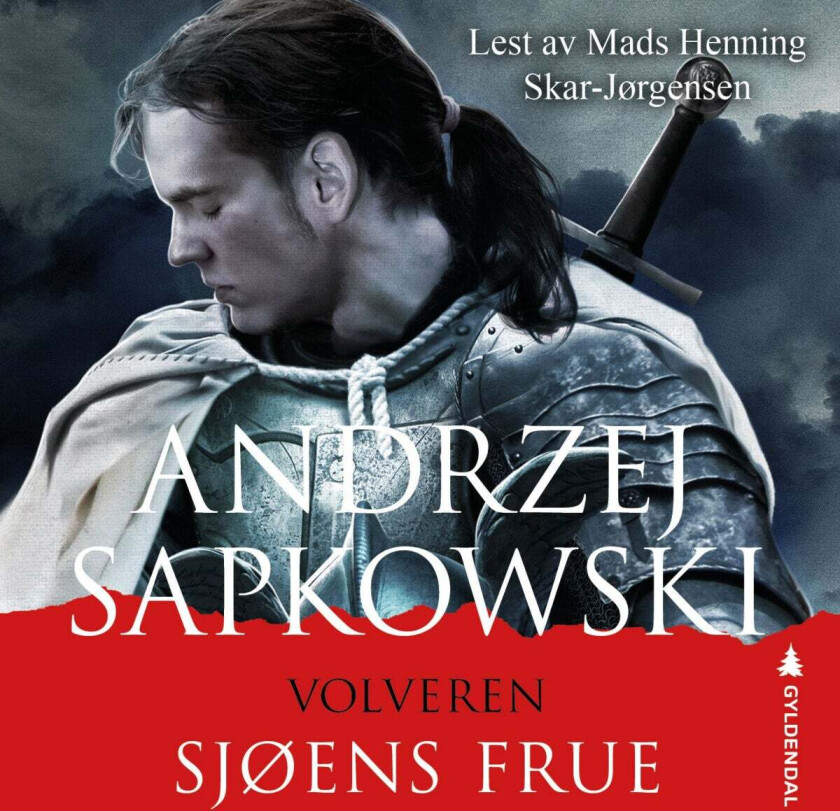 Sjøens frue av Andrzej Sapkowski