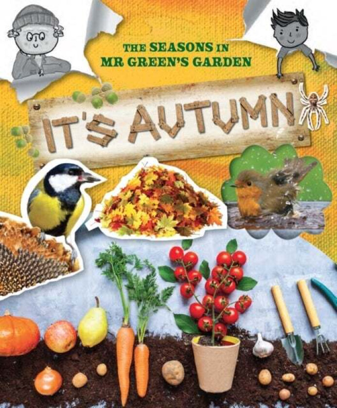 The Seasons In Mr Green's Garden av Ruth Owen