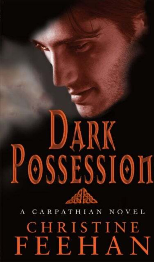 Dark Possession av Christine Feehan