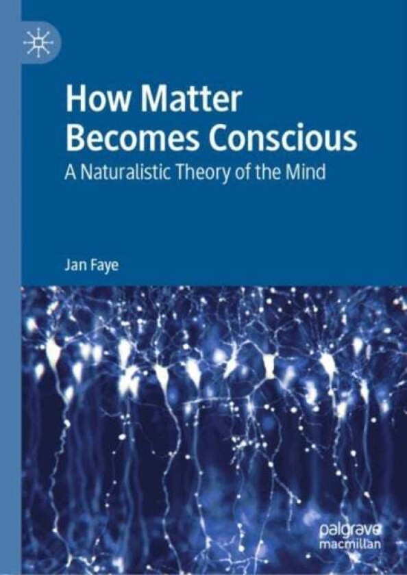 How Matter Becomes Conscious av Jan Faye