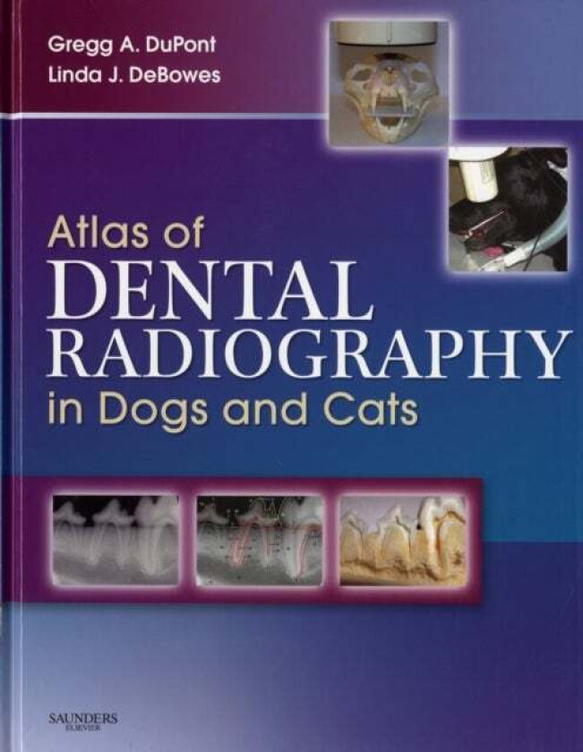 Atlas of Dental Radiography in Dogs and Cats av Gregg A. (Shoreline Veterinary Dental Clinic Seattle WA) DuPont, Linda J. (Shoreline Veterinary Dental