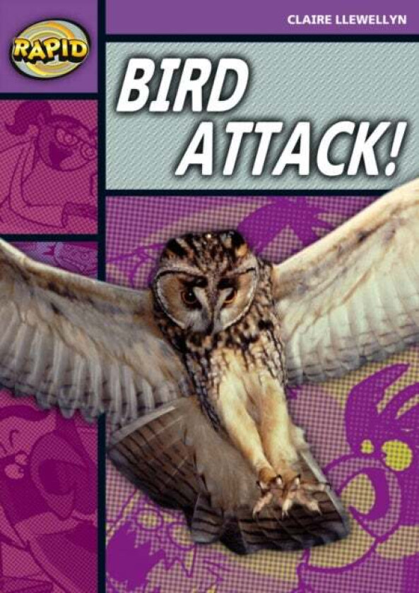 Rapid Reading: Bird Attack! (Stage 1, Level B) av Claire Llewellyn