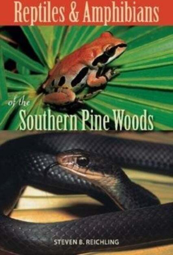Reptiles and Amphibians of the Southern Pine Woods av Steven B. Reichling