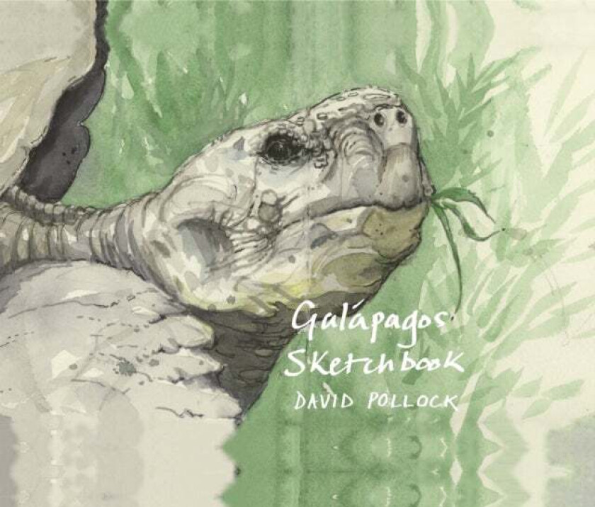 A Galapagos Sketchbook av David Pollock