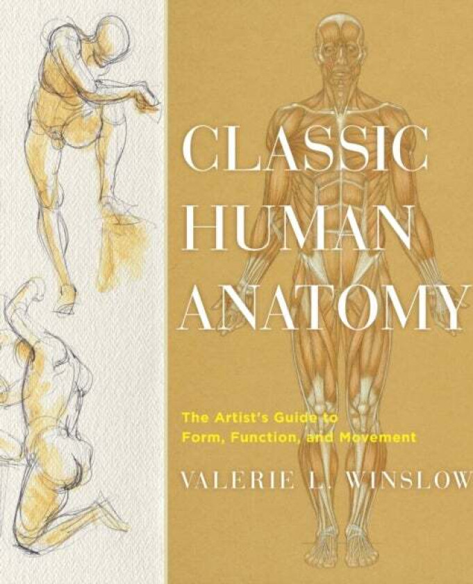 Classic Human Anatomy av V Winslow