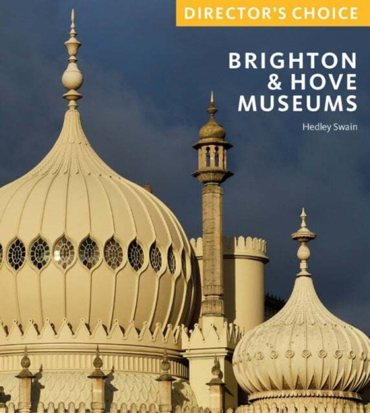 Brighton & Hove Museums av Hedley Swain