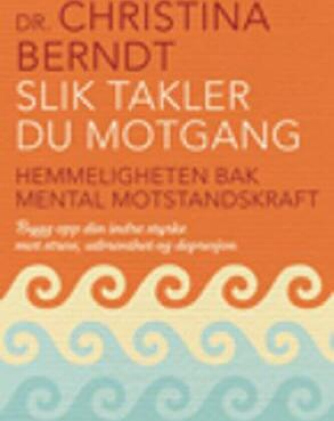 Slik takler du motgang av Christina Berndt