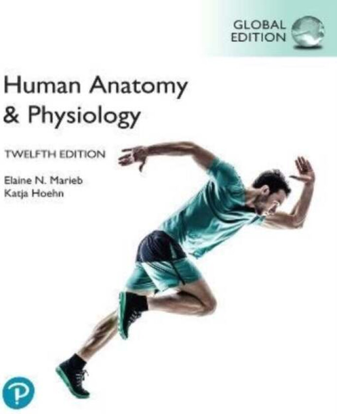 Human Anatomy & Physiology, Global Edition av Elaine Marieb, Katja Hoehn