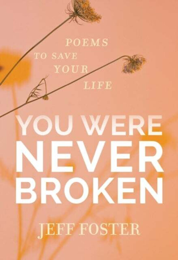 You Were Never Broken av Jeff Foster