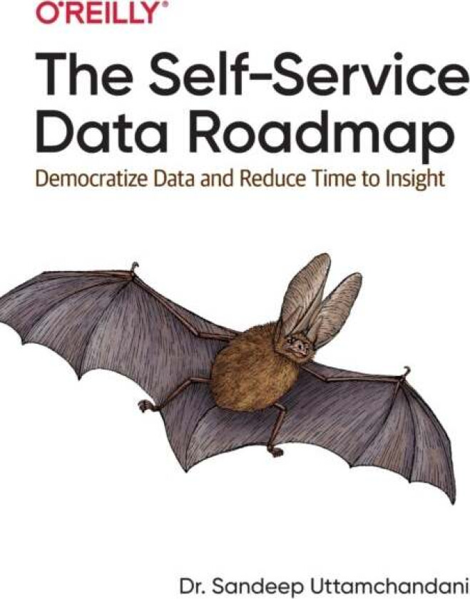 The Self-Service Data Roadmap av Sandeep Uttamchandani