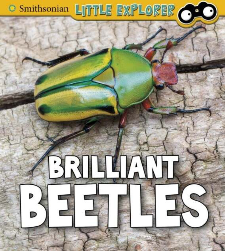 Brilliant Beetles av Melissa Higgins