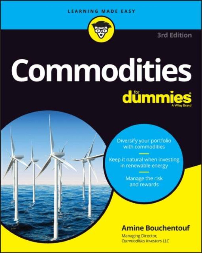Commodities For Dummies av Amine Bouchentouf