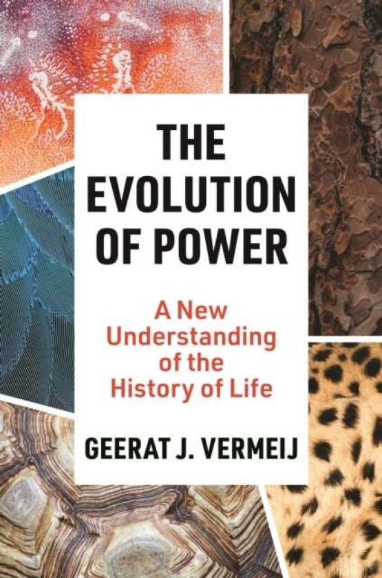 The Evolution of Power av Geerat Vermeij