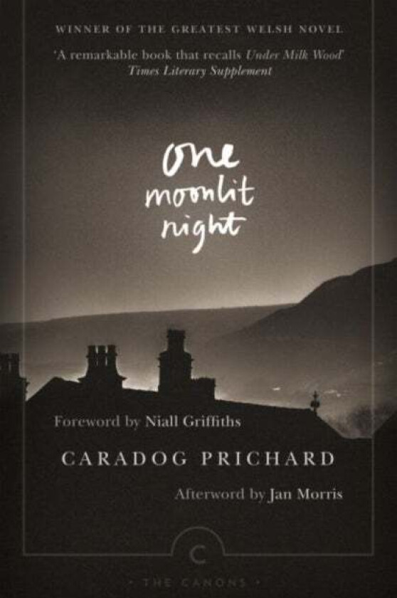 One Moonlit Night av Caradog Prichard