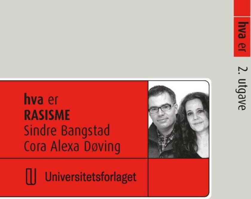Hva er rasisme av Sindre Bangstad, Cora Alexa Døving
