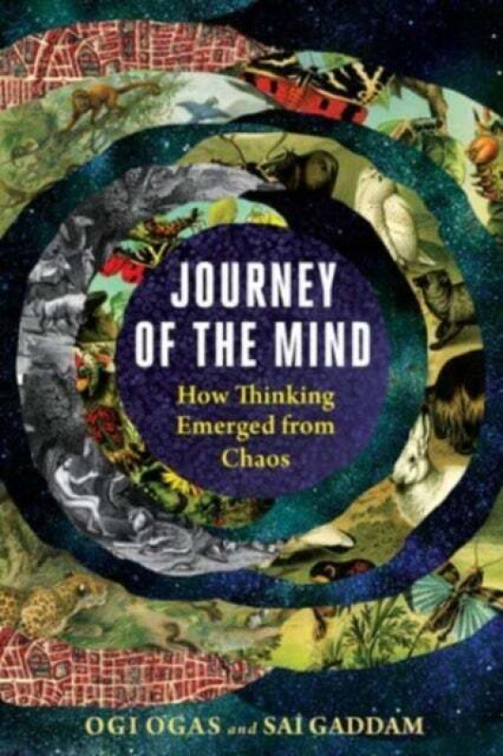 Journey of the Mind av Ogi (Boston University) Ogas, Sai Gaddam