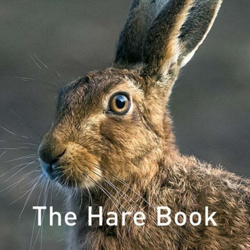 The Hare Book av Russ Jane