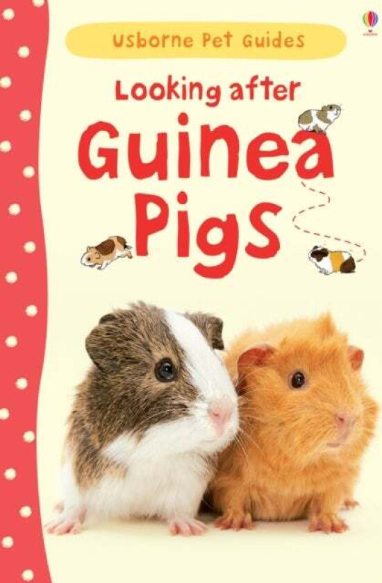 Looking after Guinea Pigs av Laura Howell