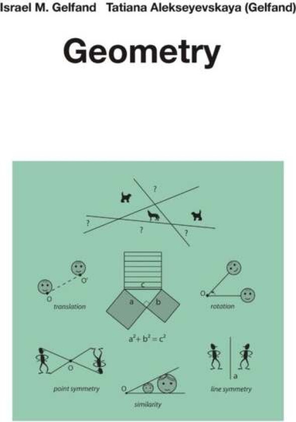 Geometry av Israel M. Gelfand, Tatiana Alekseyevskaya (Gelfand)