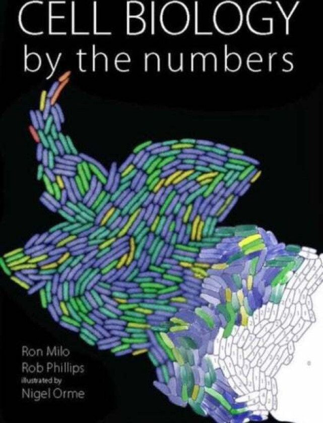 Cell Biology by the Numbers av Ron Milo, Rob Phillips