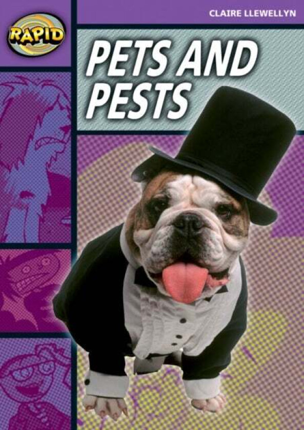 Rapid Reading: Pets and Pests (Stage 1, Level 1B) av Claire Llewellyn