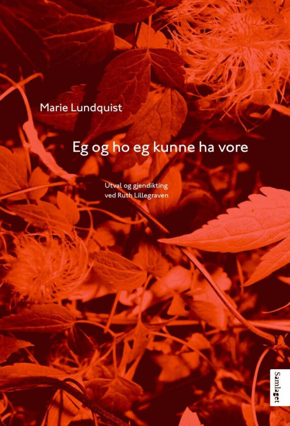 Eg og ho eg kunne ha vore av Marie Lundquist