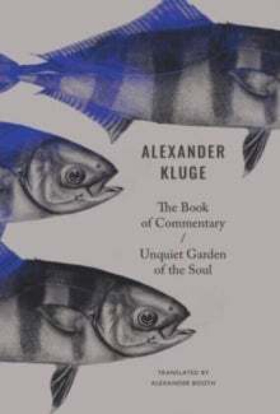 The Book of Commentary / Unquiet Garden of the Soul av Alexander Kluge, Alexander Booth