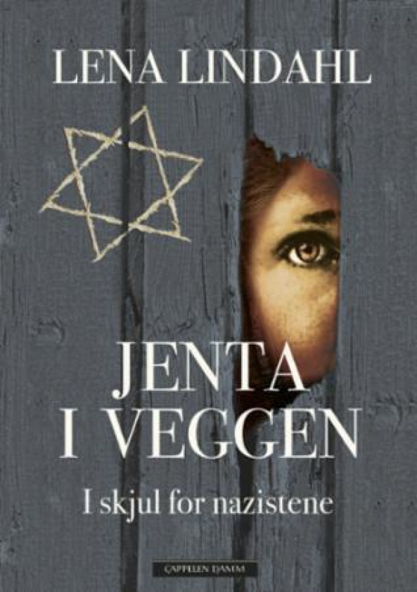 Jenta i veggen av Lena Lindahl