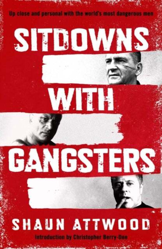 Sitdowns with Gangsters av Shaun Attwood