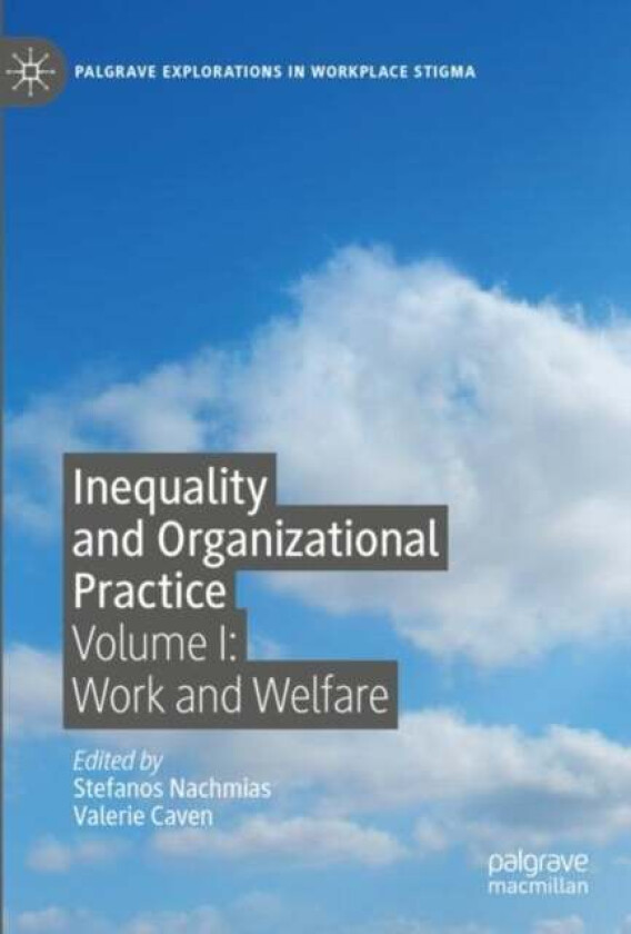 Inequality and Organizational Practice