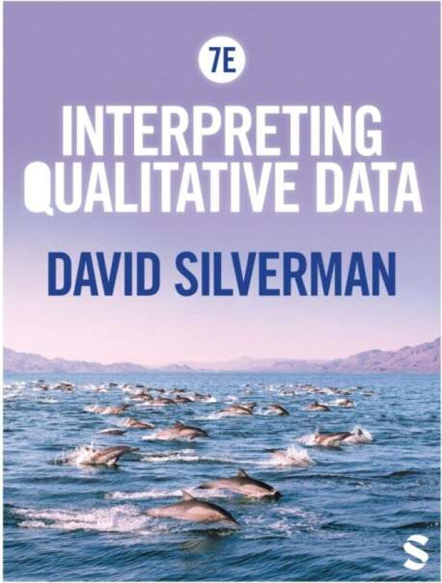 Interpreting Qualitative Data av David Silverman