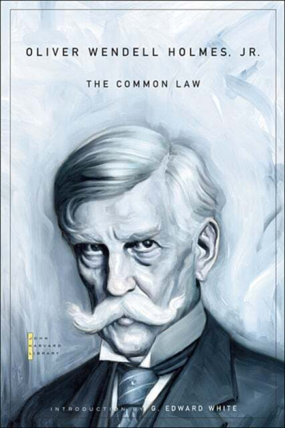 The Common Law av Oliver Wendell Holmes