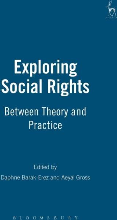 Exploring Social Rights