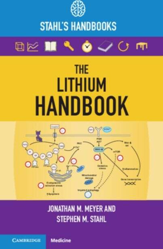 The Lithium Handbook av Jonathan M. (University of California San Meyer